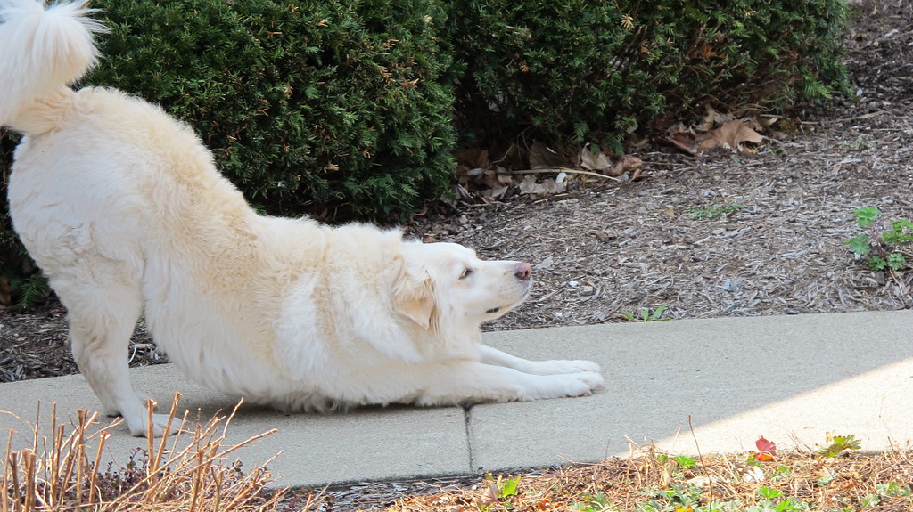 Fasting Day 39 of 40:&nbsp;Self-Care